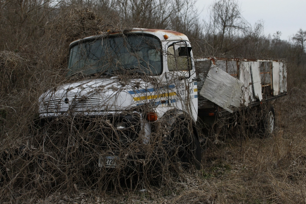 A picture of a truck covered in vines