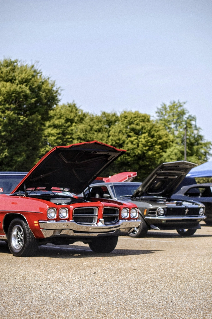 A picture of cars with hoods up