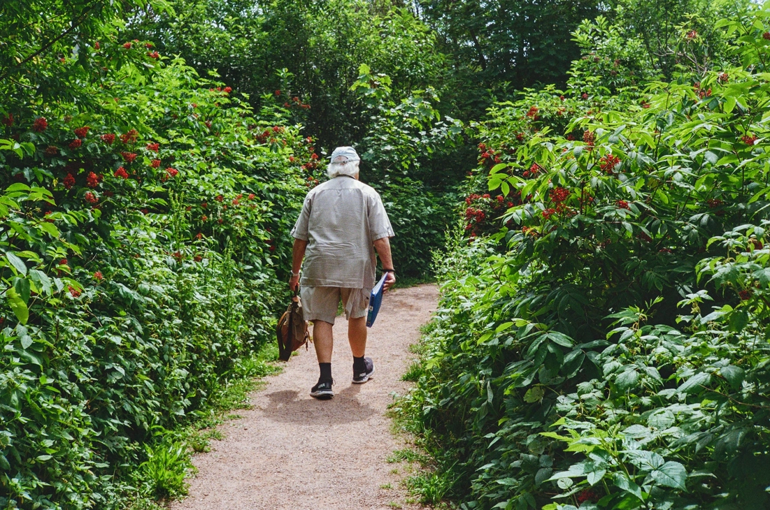 A picture of a man walking down a nature trail